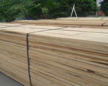 Giá gỗ sồi Mỹ cực tốt dành cho chủ xưởng thiện chí