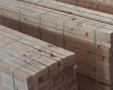 Báo giá gỗ Thông 2021 có đắt không?