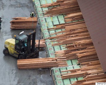 Canada hỗ trợ ngành công nghiệp gỗ xẻ
