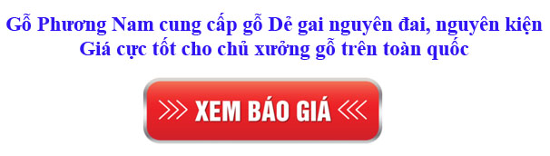 bảng báo giá gỗ dẻ gai - gỗ beech