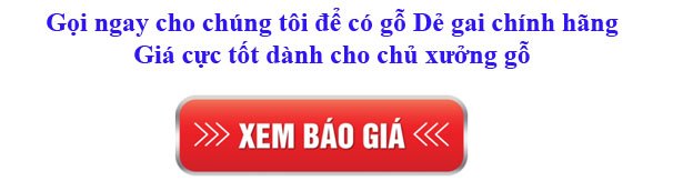 bảng giá gỗ dẻ gai (beech) nhập khẩu