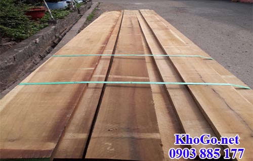 gỗ poplar xẻ sấy