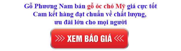 giá gỗ óc chó Mỹ nhập khẩu tại Bình Dương