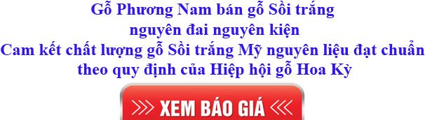 giá gỗ sồi trắng Mỹ xẻ sấy nhập khẩu