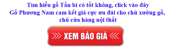 giá gỗ tần bì nhập khẩu bao nhiêu 1 mét khối