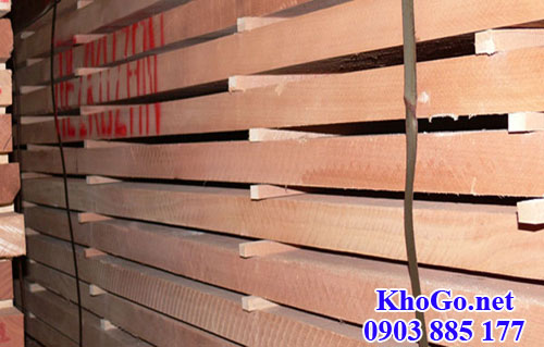 Kiện gỗ dẻ gai (beech) nhập khẩu