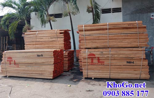 gỗ dẻ gai beech nguyên kiện